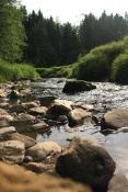 Chřibská Kamenice u Dolní Chřibské