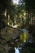 Podzim Chřibské Kamenice