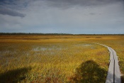 Rezervace Ilmakkiaapa