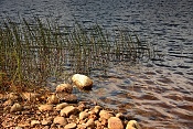 Řeka Syysjoensuu