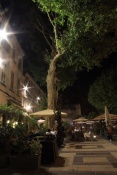 Avignon