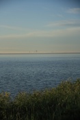 Marken v ranní mlze