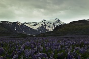 Splaz ledovce Vatnajökull  (8100 km2) a nejvyšší hora Islandu  Hvannadalshnjúkur (2110m)