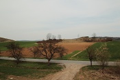 Drásovský kopeček, přírodní památka Malhostovické kopečky
