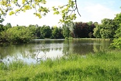 Zámecký park Lednice 