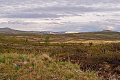 NP Rondane