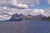 Sørfjorden a hora Hammaren (247 m)