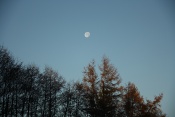 Měsíc nad ranní krajinou