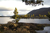 NP Jotunheimen