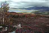 NP Jotunheimen