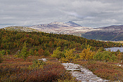 NP Rondane