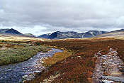 NP Rondane
