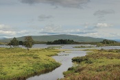 Rannoch Moor. Skotsko