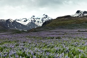 Masiv Öræfajökull s horou Hvannadalshnjúkur. Island