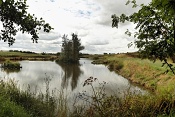 Rybník u Glebe Farm, Anglie