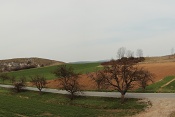 Malhostovické kopečky, přírodní památka (*2015)