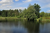 Novodvorský rybník IV