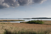 Jezero Tåkern. Švédsko