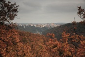 Znojmo od Králova stolce