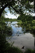 Novodvorský rybník IV