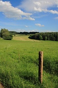 U Mimoně