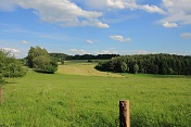 U Mimoně