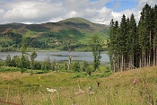 Dunalastair Reservoir