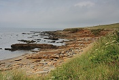 Ostrov Birsay. Orkneje