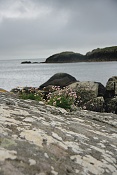 Nibon. Shetlandy