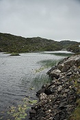 Poll Buidhe