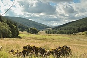 U Cairn Head