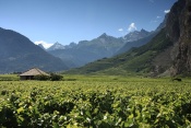 Dent de Morcles (2968 m), Petit Muveran (2820 m), Grand Muveran (3051m), Pointe de Chemo (2626 m) od Ardonu 
