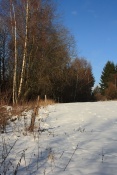 Nad Skalkou