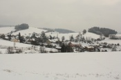 Trhonice